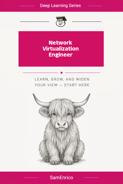 Network Virtualization Engineer
