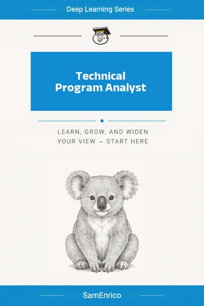 Technical Program Analyst
