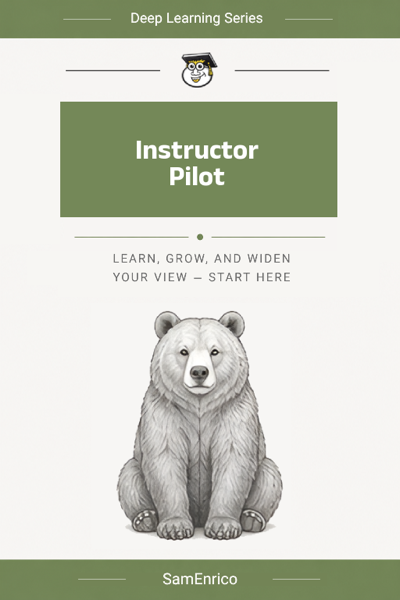 Instructor Pilot