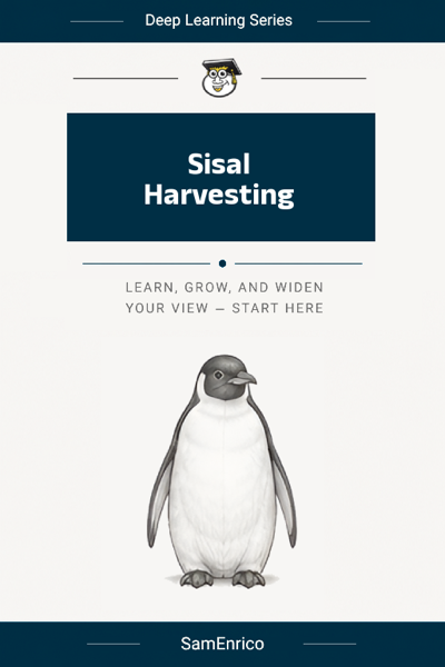 Sisal Harvesting
