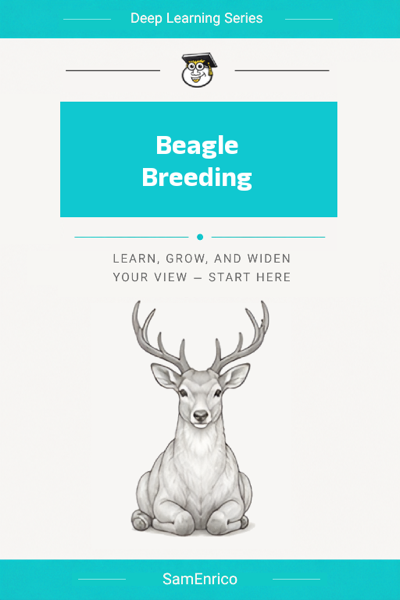Beagle Breeding