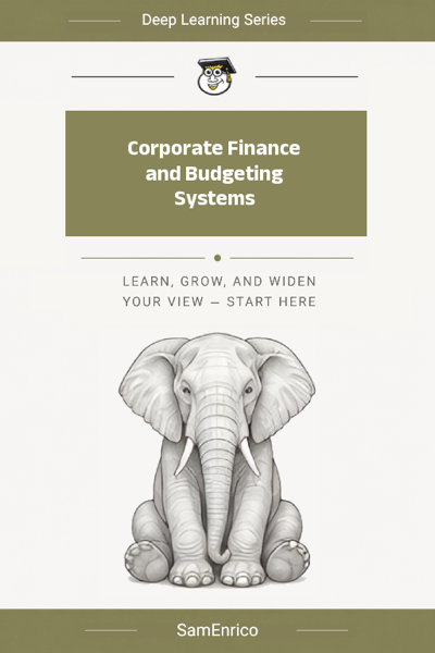 Corporate Finance and Budgeting Systems