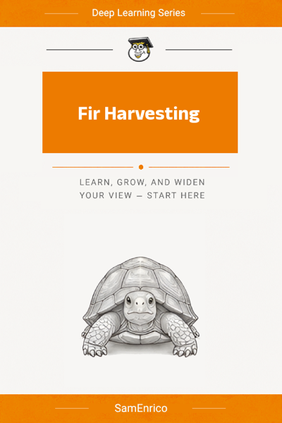 Fir Harvesting