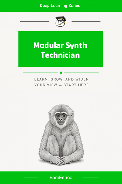 Modular Synth Technician
