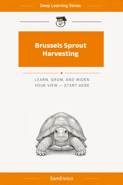 Brussels Sprout Harvesting
