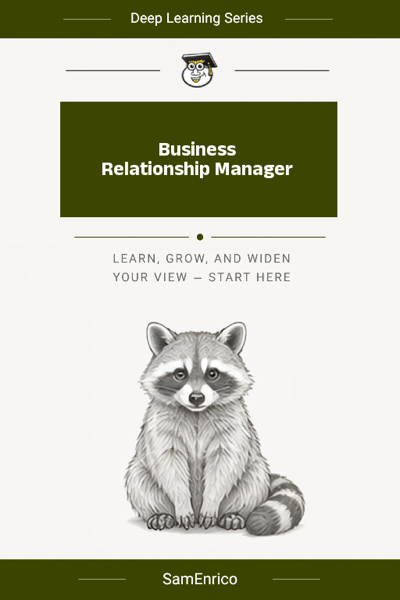 Business Relationship Manager
