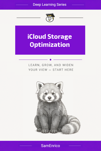 iCloud Storage Optimization