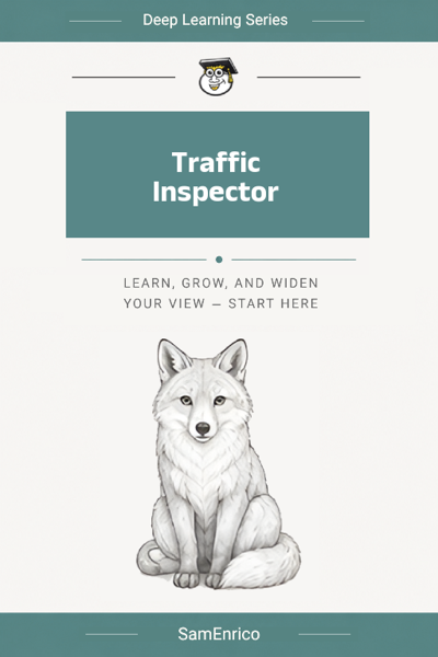 Traffic Inspector