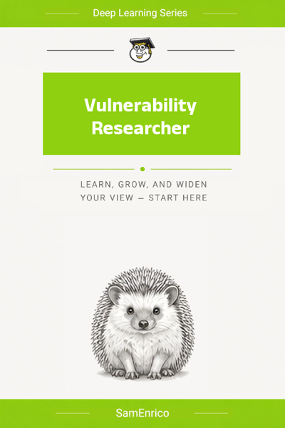 Vulnerability Researcher