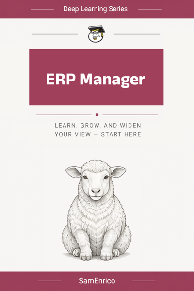 ERP Manager