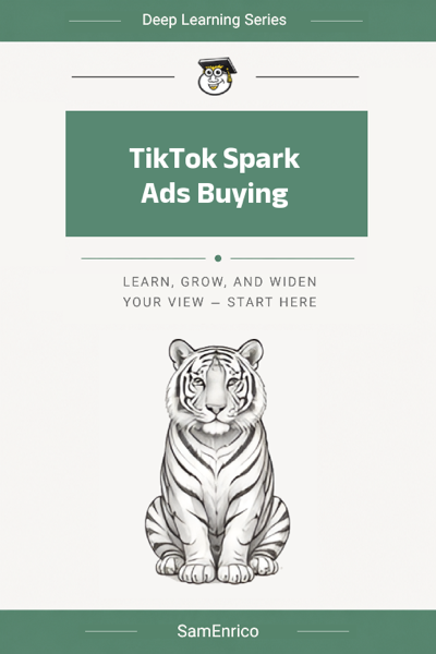 TikTok Spark Ads Buying