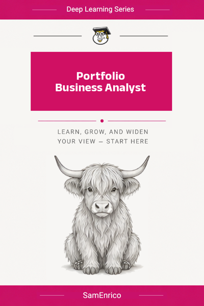 Portfolio Business Analyst