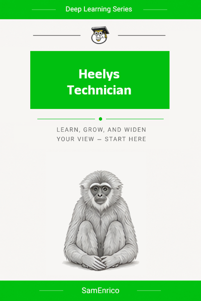 Heelys Technician