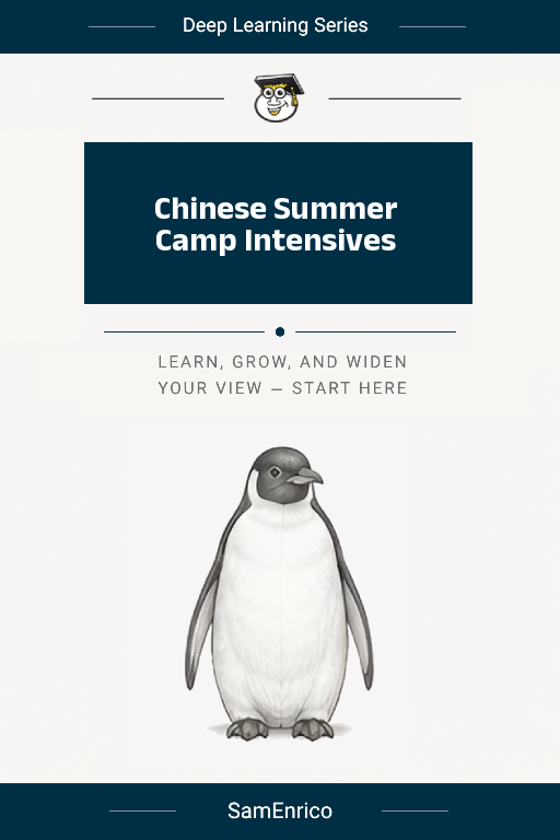 Chinese Summer Camp Intensives