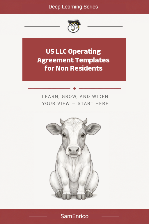 US LLC Operating Agreement Templates for Non Residents
