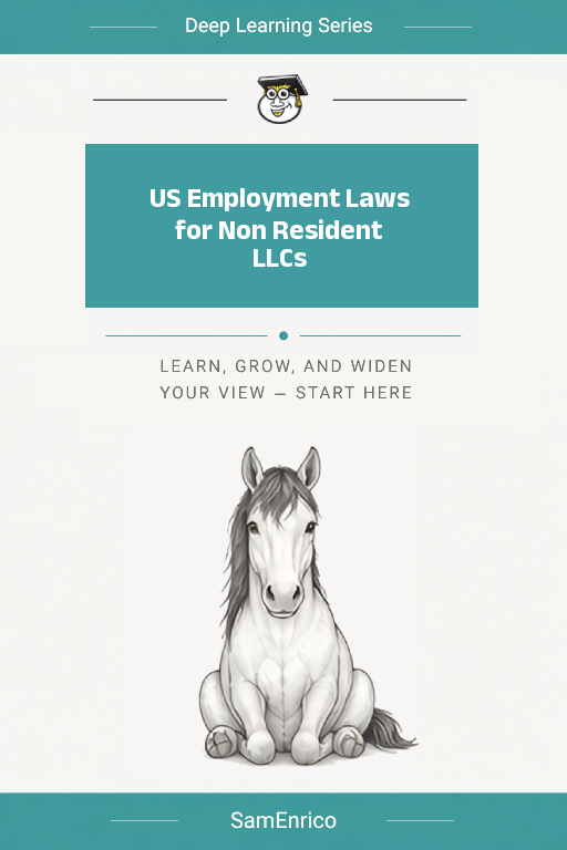 US Employment Laws for Non Resident LLCs
