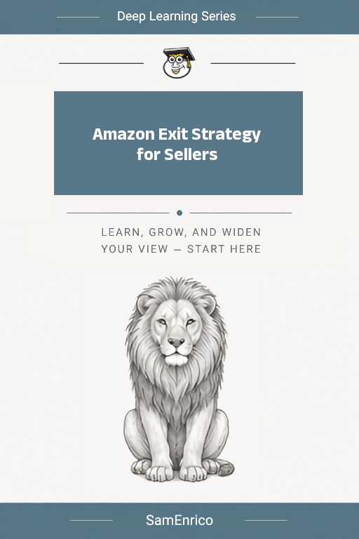 Amazon Exit Strategy for Sellers