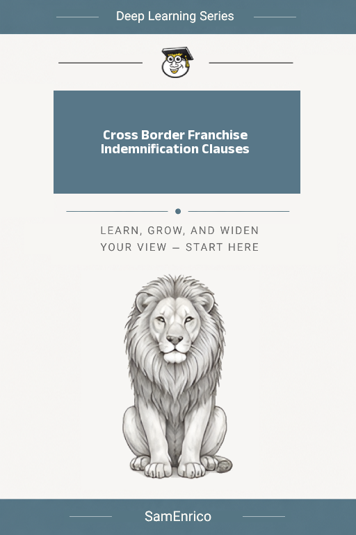 Cross Border Franchise Indemnification Clauses