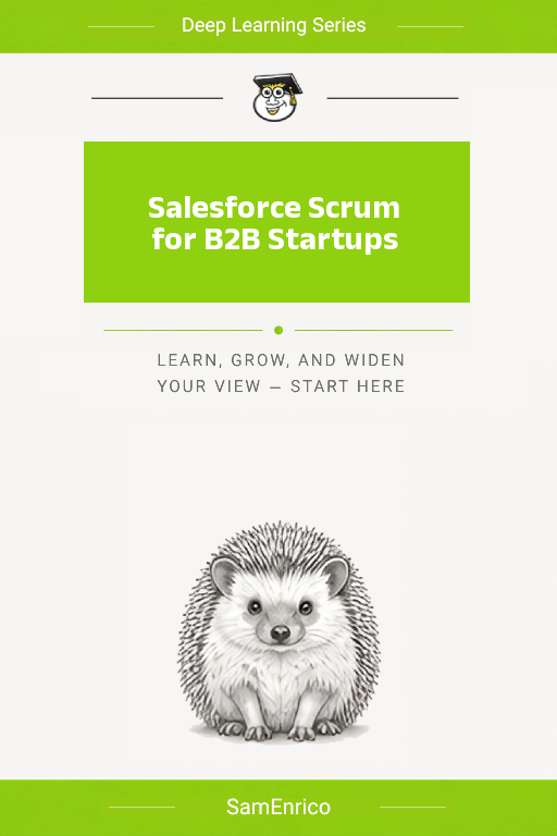 Salesforce Scrum for B2B Startups