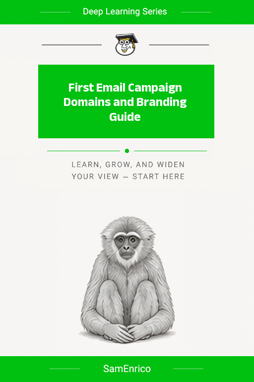 First Email Campaign Domains and Branding Guide