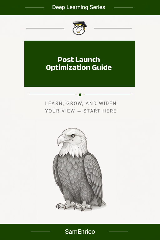 Post Launch Optimization Guide