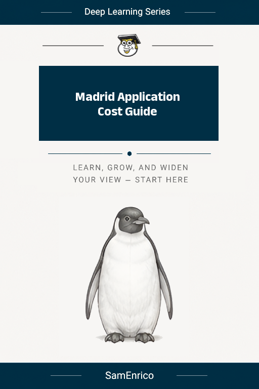 Madrid Application Cost Guide