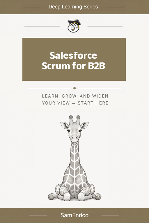 Salesforce Scrum for B2B