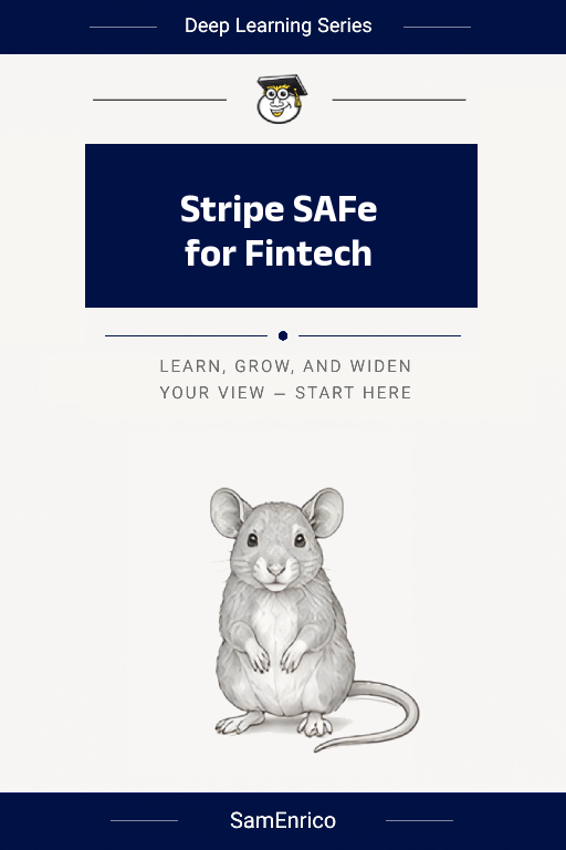 Stripe SAFe for Fintech