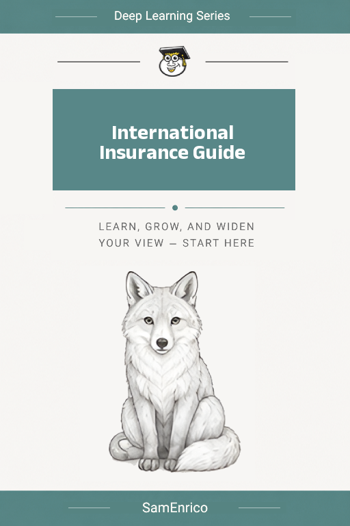 International Insurance Guide