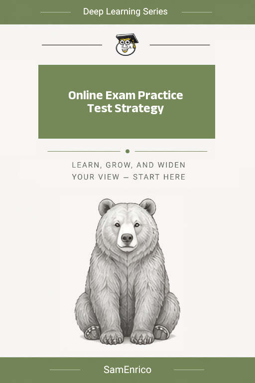 Online Exam Practice Test Strategy
