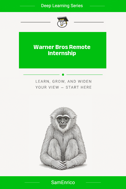 Warner Bros Remote Internship