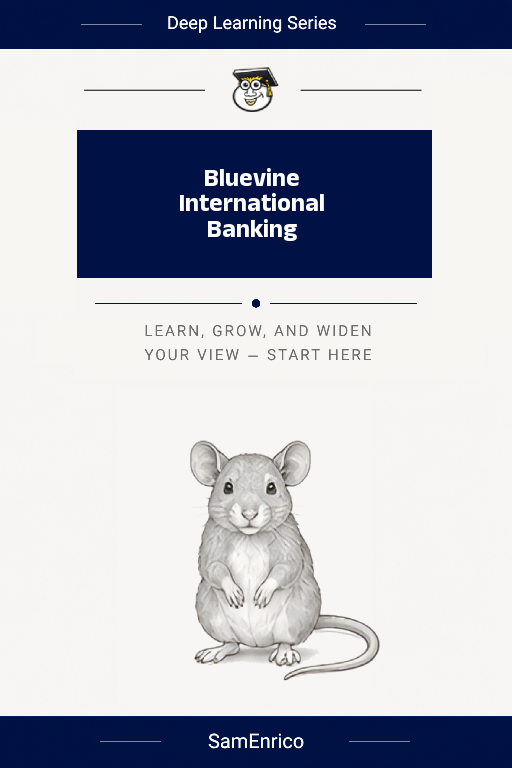 Bluevine International Banking
