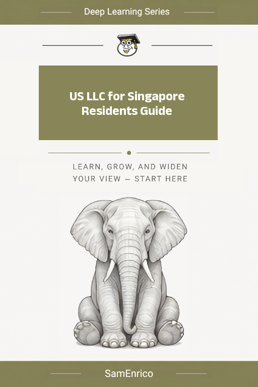 US LLC for Singapore Residents Guide