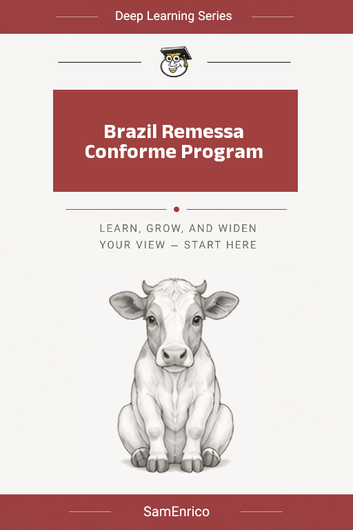 Brazil Remessa Conforme Program