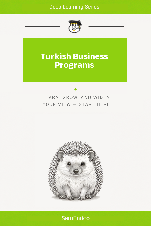 Turkish Business Programs