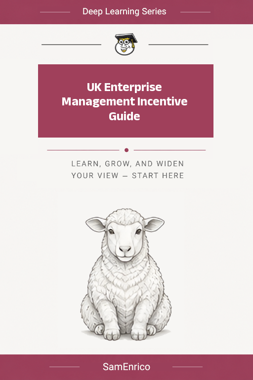 UK Enterprise Management Incentive Guide