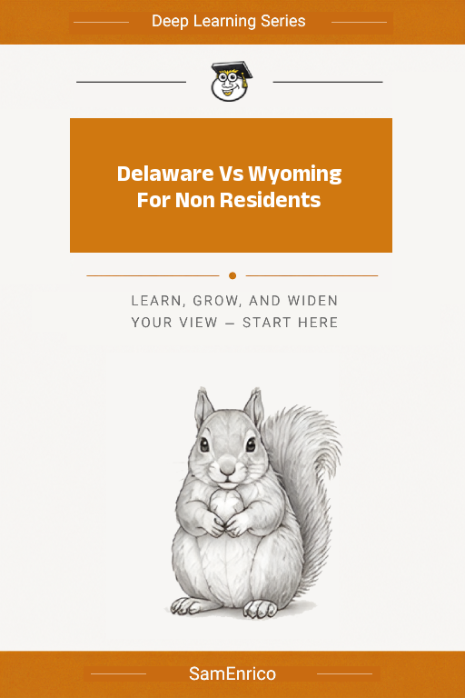 Delaware Vs Wyoming For Non Residents