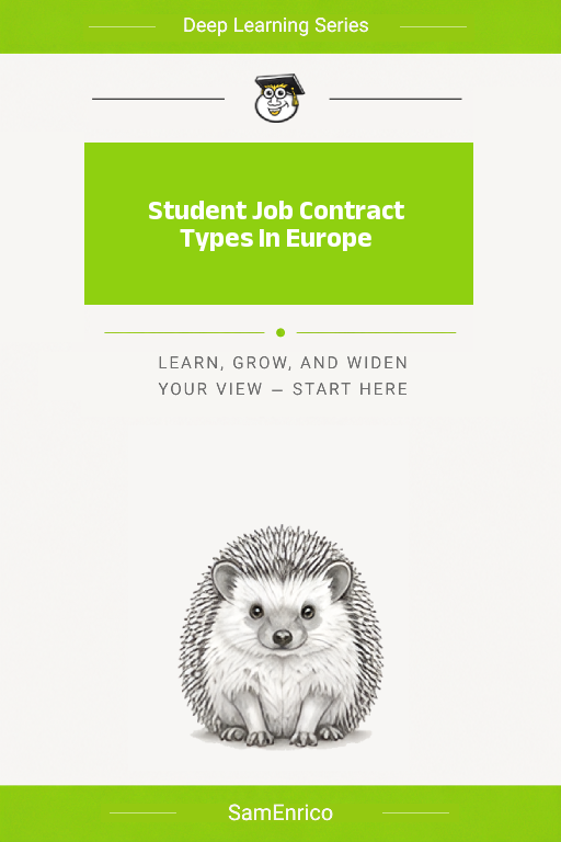 Student Job Contract Types In Europe