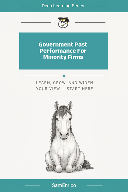 Government Past Performance For Minority Firms