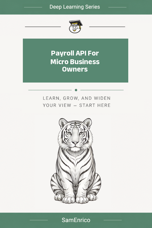 Payroll API For Micro Business Owners