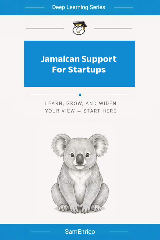 Jamaican Support For Startups