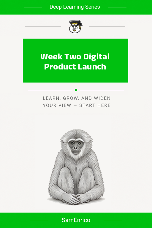 Week Two Digital Product Launch