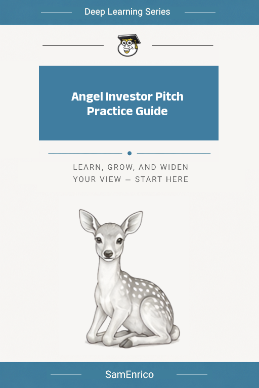 Angel Investor Pitch Practice Guide