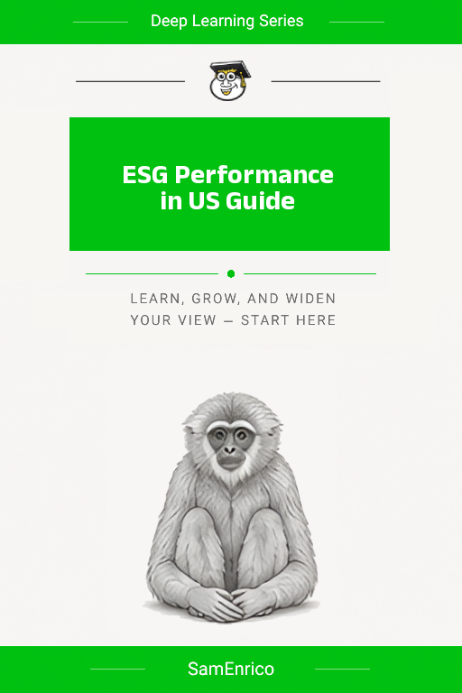 ESG Performance in US Guide