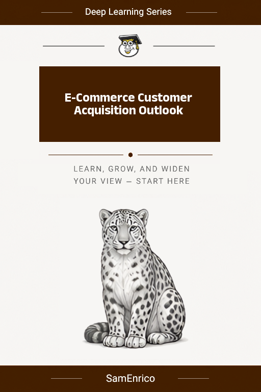 E-Commerce Customer Acquisition Outlook