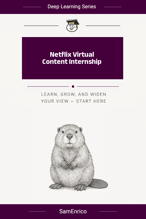 Netflix Virtual Content Internship