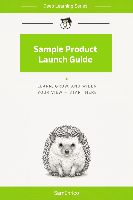 Sample Product Launch Guide