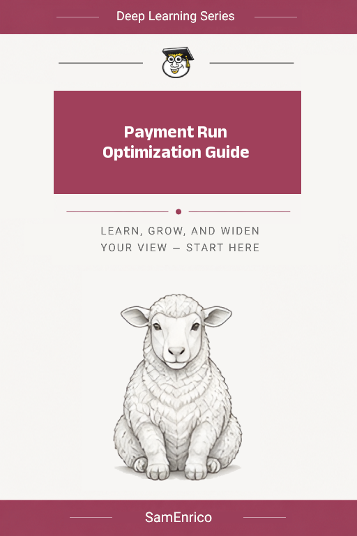 Payment Run Optimization Guide