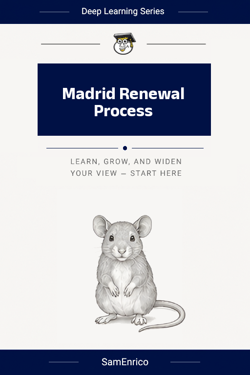 Madrid Renewal Process