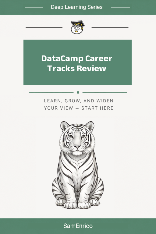 DataCamp Career Tracks Review